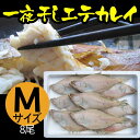 母の日 ギフト エテカレイ えてかれい 一夜干し (中)サイズ 8尾セット カレイ 干物 冷凍便 山陰 日本海 兵庫県