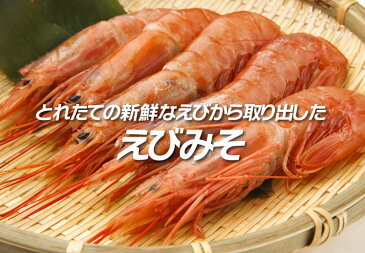 えびみそ えび味噌 缶詰 山陰 日本海 兵庫県産 100g 3個