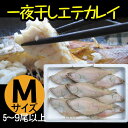 エテカレイ えてかれい 一夜干し Mサイズ 6尾セット カレイ 干物 冷凍便 山陰 日本海 兵庫県
