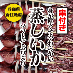 イカ姿焼き いか串 剣先 いか イカ焼き 串付き 12尾セット ボイル BBQ 兵庫県