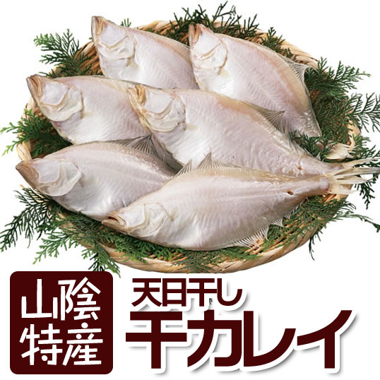 ＼マラソン期間中ポイント5倍／ 一夜干し かれい カレイ エテカレイ 山陰 日本海産 ギフト 約27cm 6枚セット