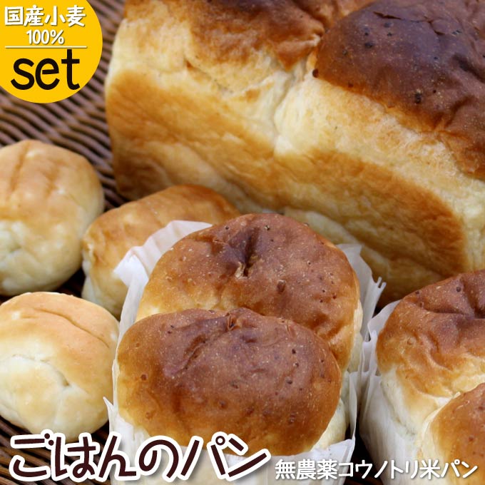 米粉パン 送料無料 米粉パン 市販 人気 国産小麦 食パン パン詰め合わせ