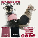 クークチュール テラヘルツ 犬服 犬の服 シルク腹巻 腹巻き 日本製 7301
