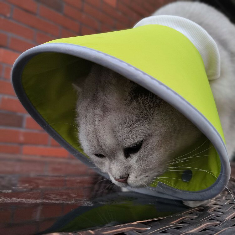 エリザベスカラー 猫用 犬用 軽量 ソフト スポンジ 術後 傷口保護 傷舐め防止 介護...