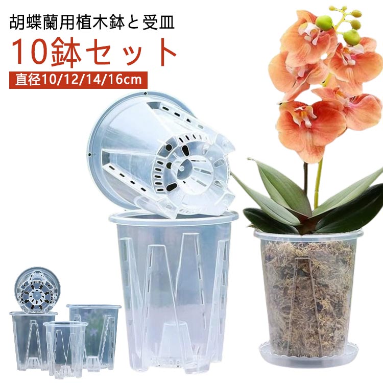 オーキッドポ 胡蝶蘭の植え替え 屋外 屋内 受皿付き 洋蘭鉢 胡蝶蘭鉢 蘭の鉢 プラ...