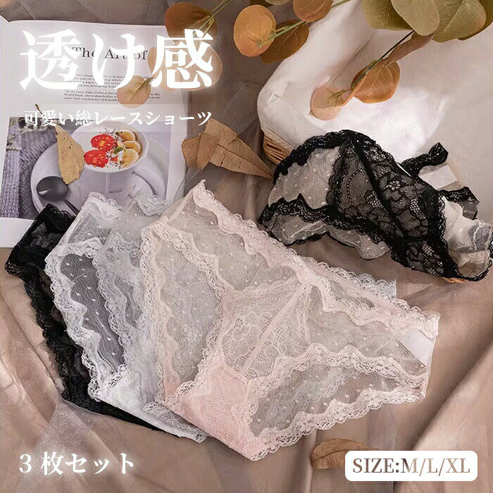 シンプル パンティ ナイロン セクシー フル パンツ 女性 ストレッチ ショーツ レデ...