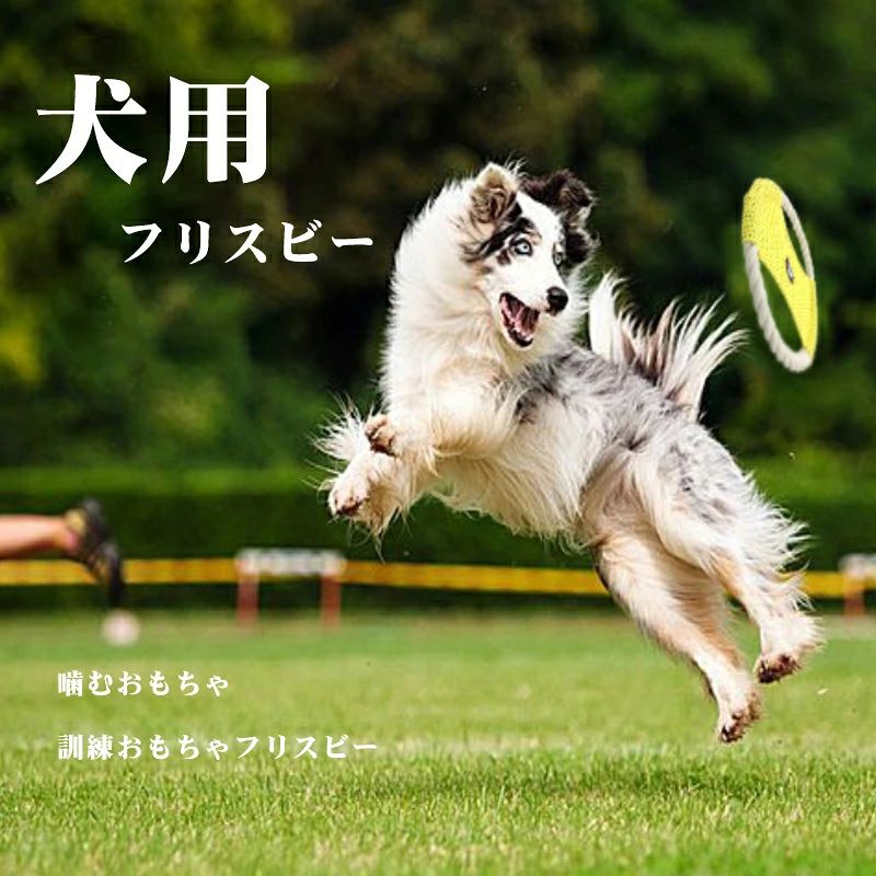 天神橋セレクトの犬用フリスビー 犬用 おもちゃ 投げる コットン ロープ製 犬用フリスビー 運動 軽量 訓練おもちゃ 遊ぶ ペット 4色 歯の健康 かわいい 可愛い 健康 お散歩 休日 愛犬 公園 ソフト 運動不足解消 ストレス発散 公園遊び 小型犬 中型犬 大型犬｜アングル3