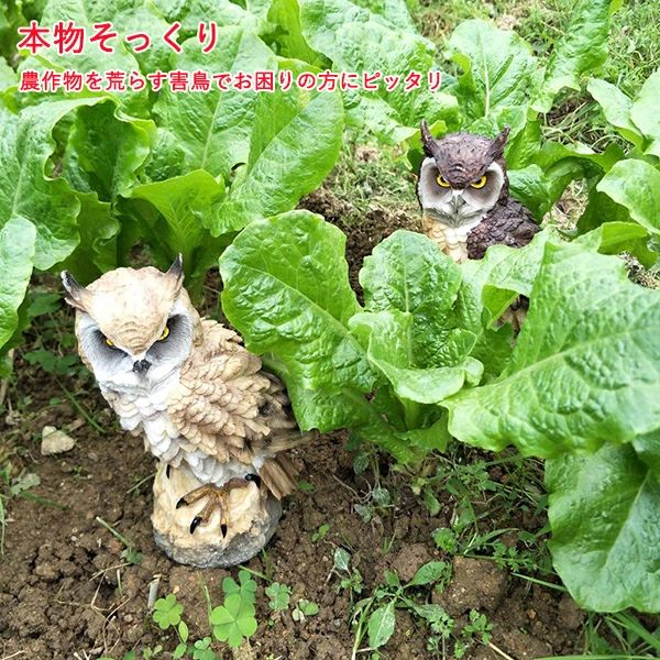天神橋セレクトのフクロウ 鳥よけ 鳩よけ 鳥対策 本物そっくり 樹脂 防鳥防獣対策 カラス対策 防鳥具 鳥よけグッズ 置物 オーナメント 装飾 ディスプレイ ガーデニング 庭 ガーデン ベランダ 屋外 装飾 ブジェ 撃退ハト スズメ カラス 雀 ムクドリ ヒヨドリ撃退｜アングル2