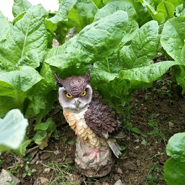 天神橋セレクトのフクロウ 鳥よけ 鳩よけ 鳥対策 本物そっくり 樹脂 防鳥防獣対策 カラス対策 防鳥具 鳥よけグッズ 置物 オーナメント 装飾 ディスプレイ ガーデニング 庭 ガーデン ベランダ 屋外 装飾 ブジェ 撃退ハト スズメ カラス 雀 ムクドリ ヒヨドリ撃退｜アングル3
