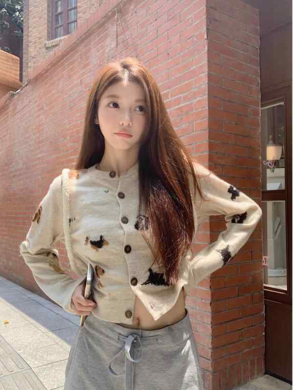 樂天商城 - 秋冬 ショート丈 切り替え ロングスリーブ ニット ジャカード 女性用 かわいい トップス スリムフィット カーディガン 修身 犬柄