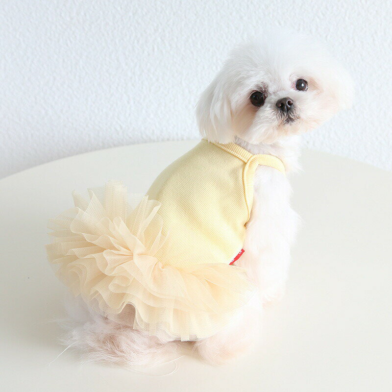 色鮮やかな 2024 夏 ペット 猫 服装 犬 新作 春夏 服 チュールスカート