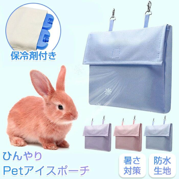 �Ҥ��� �Ҥ���ޥå� ����ݡ��� �������ݡ��� ����ޥå� �ڥå� �ݡ��� ǭ ������դ� �� �� �ϥ⥹���� ������ �ڥå���