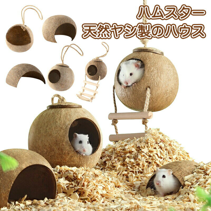 Rabbit - 鸚鵡 遊園地 鳥ハンモック ハウス ペットおもちゃ ハウス コナッツシェル 【送料無料】ハムスターハウス ハンモック モルモット