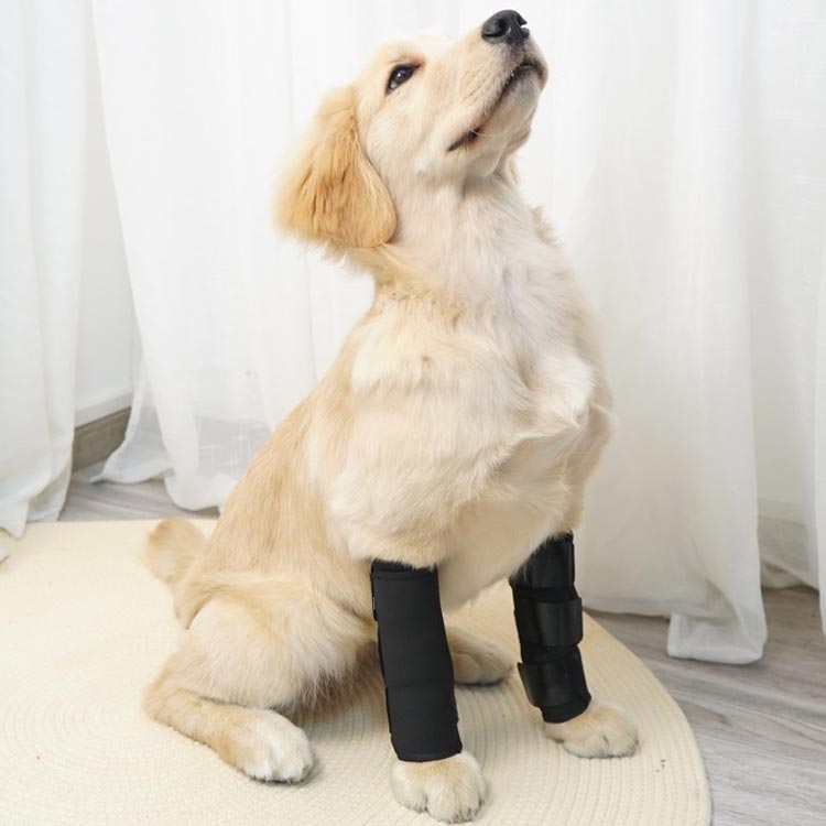 2個セット 犬用膝サポーター 膝サポーター 犬 犬用 サポーター 関節サポーター 関...