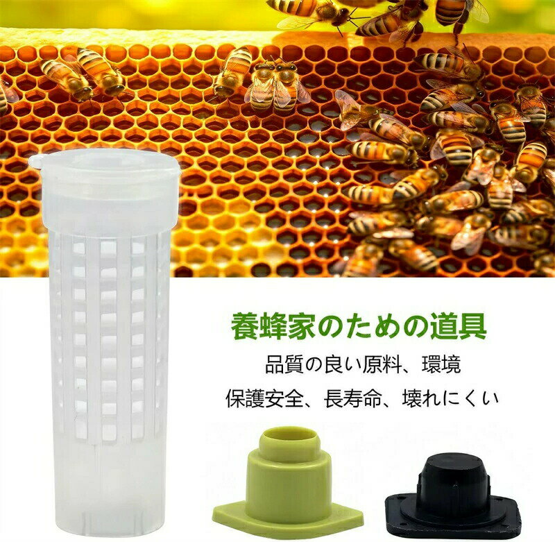 飼育ケース 蜜蜂を収集する装置 蜜蜂 飼育 ミツバチ飼育器 養蜂装置 10個 巣箱 ミ...
