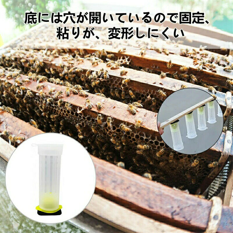 飼育ケース 蜜蜂を収集する装置 蜜蜂 飼育 ミツバチ飼育器 養蜂装置 10個 巣箱 ミ...
