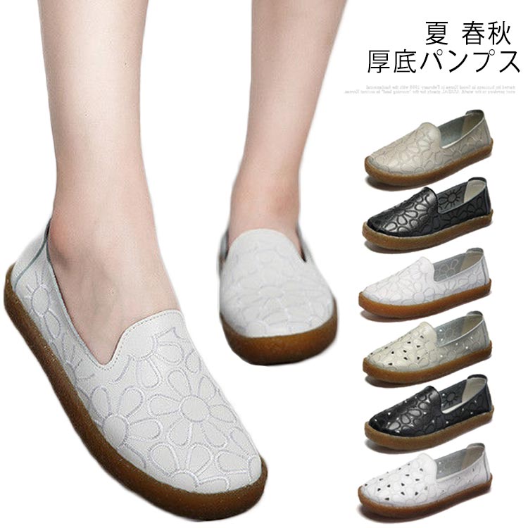 �� ����ѥ�ץ� ��ǥ������� �⤭�䤹�� �ˤ��ʤ� ���� ��ǥ������� �ܳ� �ѥ�ץ� ��ǥ����� �� �ڤ��� �ե�åȥ��塼��