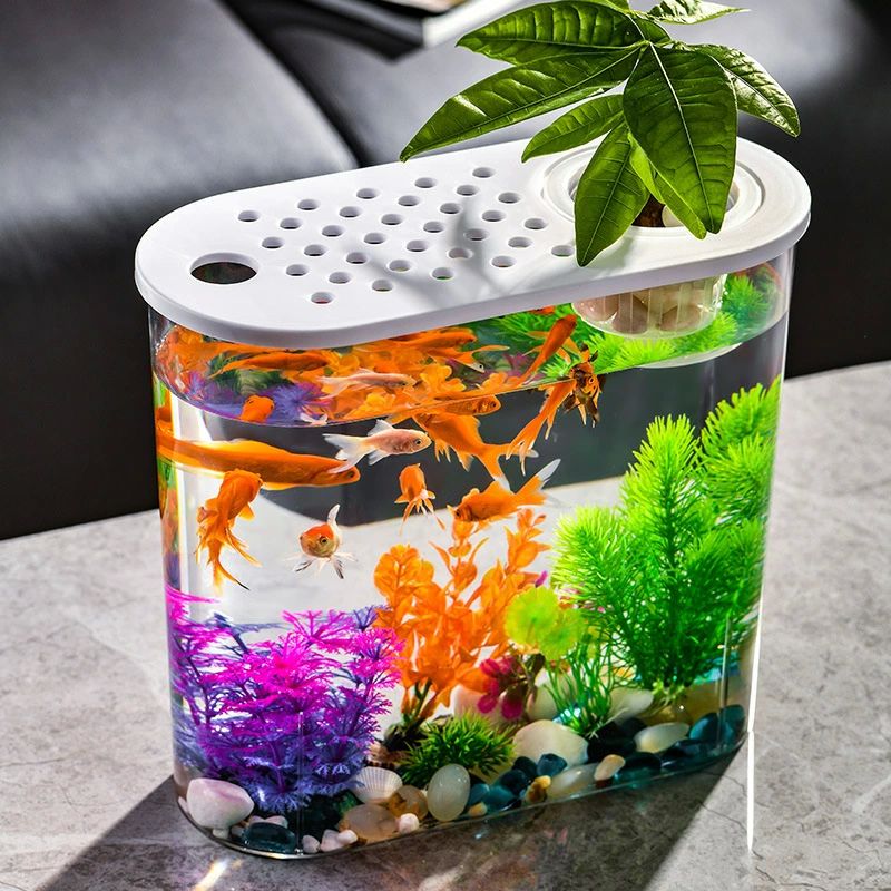 インテリア 水槽 飾り テーブ 観葉植物 飼育水槽 観葉植物 プラスチックガラスポット 金魚鉢 透明アクリル テラリウム コンテナ