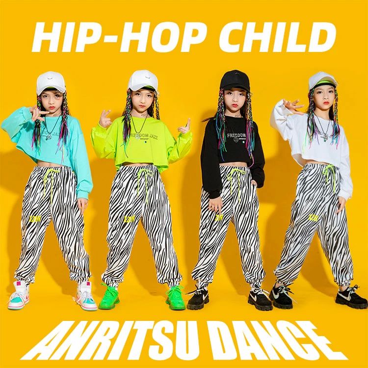 トレーナ ショート丈 ダンス ヒップホップ tシャツ へそ出し トップス ショート丈 ...