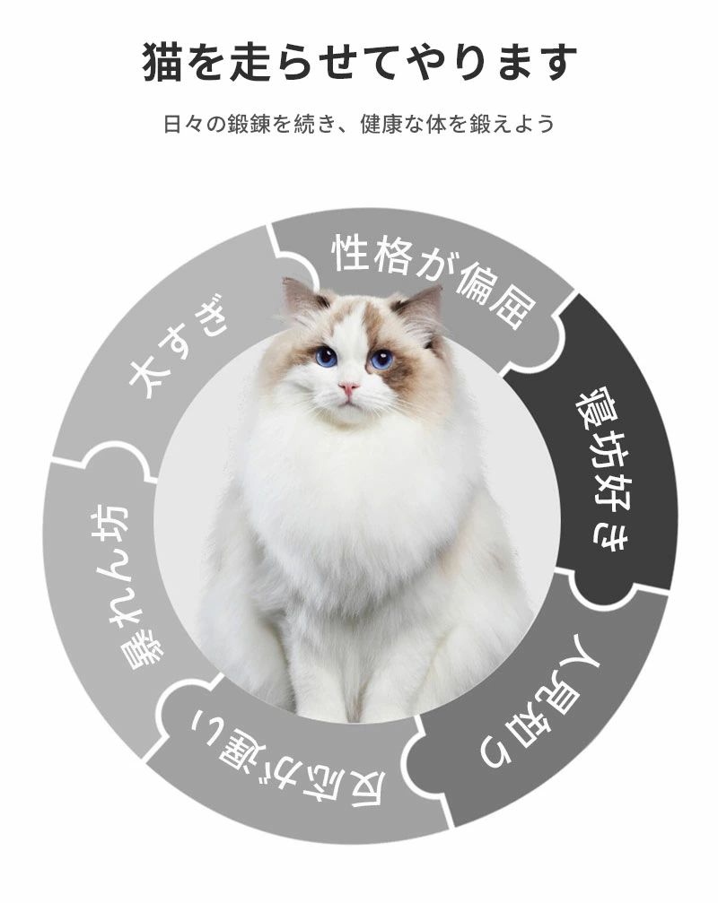 天神橋セレクトのキャット ホイール 猫 L ランニングホイール キャットウォーク キャット運動 鍛錬 鍛える 猫回し車 ローラーミュート猫 ネコ ホイール 猫のトレッドミルの車輪 猫用ホイール 太さ対策 猫用品｜アングル3