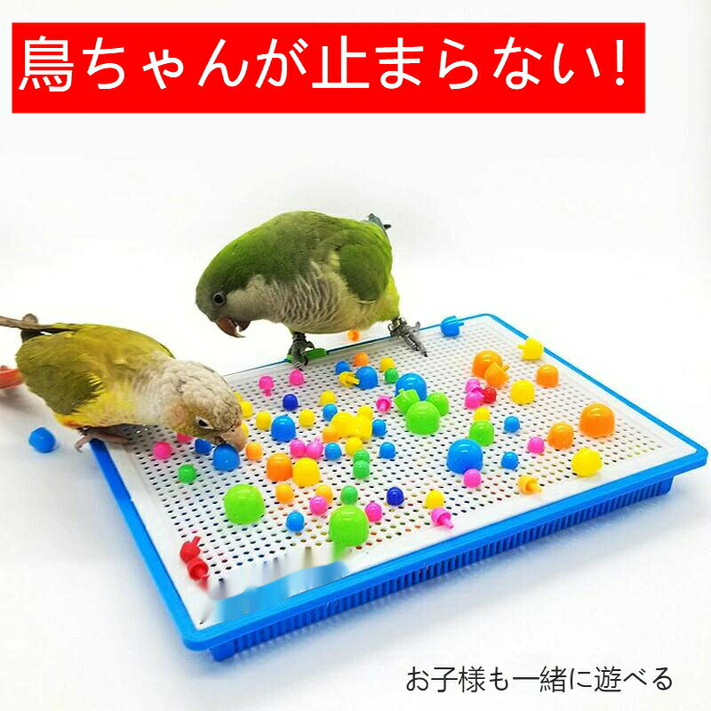 鳥のおもちゃ 鳥用玩具 プラスチック オカメインコ インコ おもちゃ バードトイ 鳥...