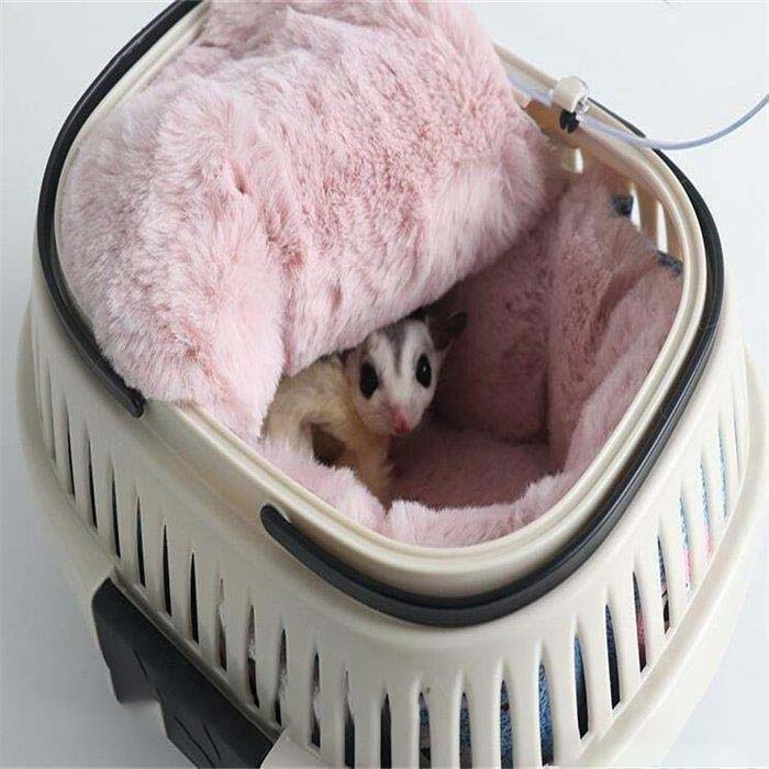 天神橋セレクトのミニキャリー 子犬 子猫 小動物 鳥用キャリー ハムスター チンチラ　モルモット　移動用キャリー 敬老の日 ハムスター ハムスターケージ おでかけ 通院｜アングル2