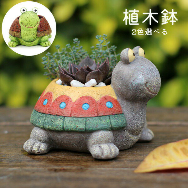 植木鉢 苔 サボテン 亀 多肉植物鉢 苔リウム ミニ プランター 多肉 箱庭 2color 寄せ植 コケリウム 可愛い おしゃれ 鉢 多肉植物