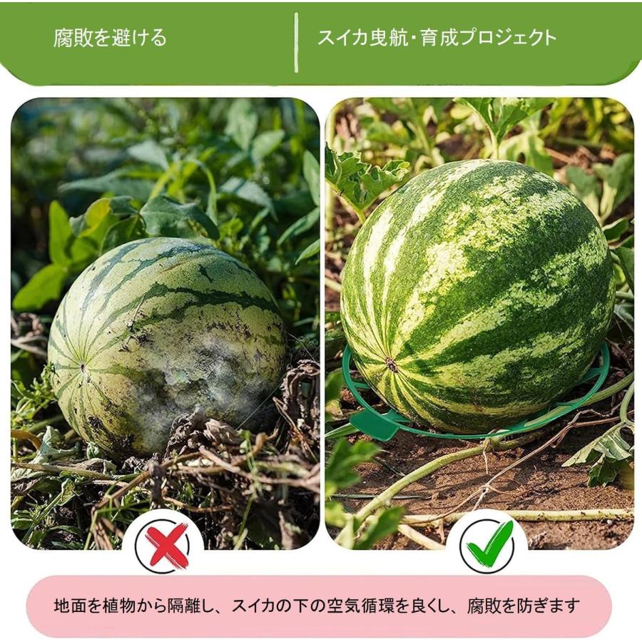 スイカマット スイカマット 10/20/30個入り 園芸フレーム スイカサポート スイカマ...