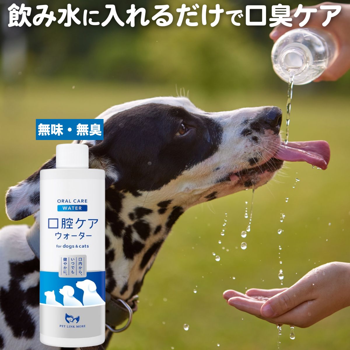 【P最大25倍！4日20:00～】犬 歯磨き 飲み水に入れるだけで 口臭 ケア 猫 ペット 250ml PETLINKMORE 液体歯磨き 歯石取り 歯垢除去 歯周病 口臭ケア 口腔ケア デンタルケア はみがき 歯磨き粉 水 口腔ケアサプリのサムネイル