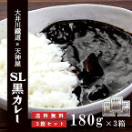 【大井川鐵道×天神屋】 SL 黒カレー 3箱セット イカ墨 入り カレー セット レトルト 食品 総菜 おかず 静岡 ご当地カレー ブラックカレー お取り寄せ グルメ 常温保存 大井川 川根 グルメ 180g ×3 敬老の日