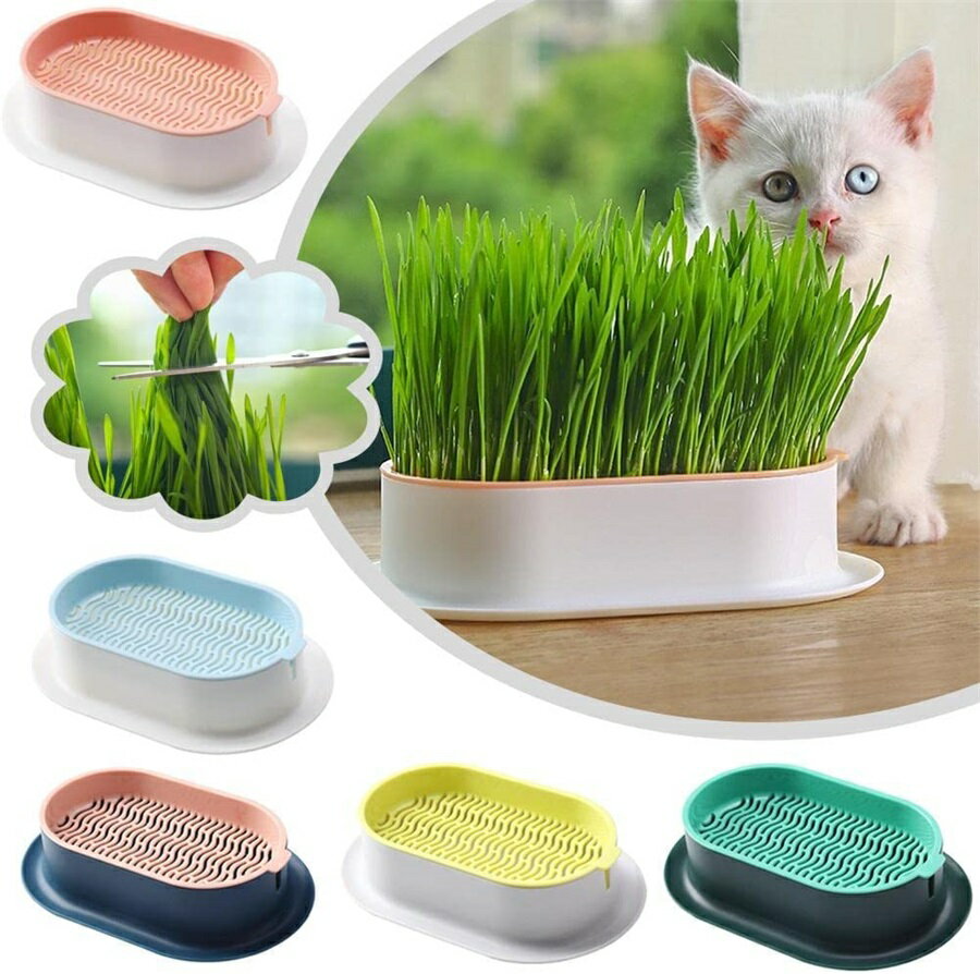 容器 3pcs　猫草栽培鉢皿 鉢台 鉢植え台　猫草プランター　植物シャーレ　プラスチックキャットニップ猫草ボックス　自己散水植物スプラウタートレイ　鉢植え台 観葉植物 鉢植え 植木鉢水耕栽培　猫草容器　猫草栽培鉢皿　3pcs　猫用