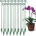 植物支柱 15本セット 花ささえ 園芸支柱 支柱棚 フラワースタンド 観葉支柱 花支え ガーデニング支柱 ココスティック 誘引支柱 つる性植物用 胡蝶蘭 観賞植...