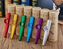 カズー笛 カ ズー楽器 アルミ合金製 口で吹く伴奏楽器 プロフェッショナル演奏用カズー笛 簡単に習得可能 ポータブル カラフル