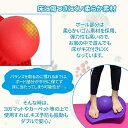tenkai-zakka:10004559のサンプル画像3