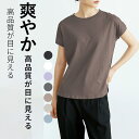 T シャツ 半袖 コットン 100% きれいめ シンプル 無地 おしゃれ 大人風 ブラック / ホワイト / ベージュ / グレー 多色展開 スリットデザイン 着まわし インナー 外着両用 春夏秋冬 オフィス 通勤 女性向け 快適着用 透け防止 通気性