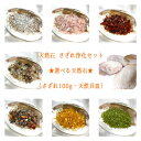 【タイムセール】 パワーストーン 天然石 さざれ浄化セット ★選べる天然石★(さざれ100g・天然貝皿) 水晶 ローズクォーツ 赤メノウ ペリドット 【ネコポス...