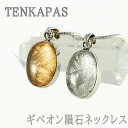 【ポイント20倍】 ナミビア産 ギベオン隕石 ペンダント ネックレス 15.5×11mm プラチナ仕上げsv925チェーン付き パワーストーン 天然石 アクセサ...