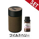 【ワイルドベリーオイルセット】L10006+L10015 CARMATE ルーノ 噴霧式フレグランスディフューザー2 ブラウン