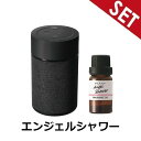 【エンジェルシャワーオイルセット】L10004+L10021 CARMATE ブラング 噴霧式フレグランスディフューザー2 ブラック