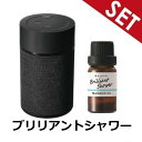 【ブリリアントシャワーオイルセット】L10004+L10018 CARMATE ブラング 噴霧式フレグランスディフューザー2 ブラック