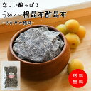 【酢昆布】恋しい酸っぱさ さわやか梅味うめ〜【根昆布酢昆布】老舗昆布屋こだわりの根昆布酢昆布 肉厚ながらもっちり柔らか、もうひと口が止まらない! 根 昆布 こん...