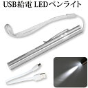 【エントリーでポイント5倍！5/9 20:00～】USB給電 LEDペンライト 懐中電灯 LED ペンライト USB 充電タイプ 災害時 アウトドア メール便 送料無料