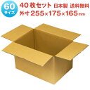 【6/22~6/27 エントリーでポイント10倍】 60サイズ ダンボール 40枚セット 255mm×175mm×165mm 厚さ3mm無地 梱包 収納 小物 宅配 通販 発送 日本製(3)