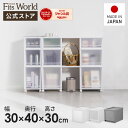 フィッツケース FC40-3030fits 衣装ケース 収納ケース 収納 引出し 奥行40 幅30 高さ30 キッチン ランドリー 衣類 天馬 公式 公式店