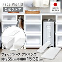 フィッツケース アドバンス 55サイズ 専用棚 15cm 30cm ホワイト幅15cm 幅30cm 連結棚 収納 クローゼット 押入れ プラスチック 天馬 日本...