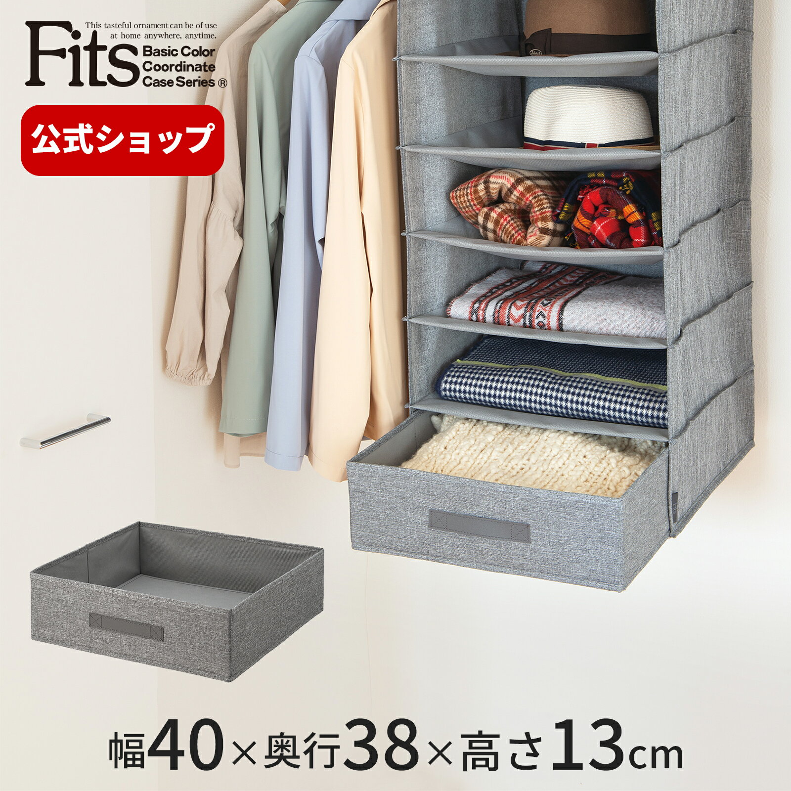 ◇5/10（金）0:00～23:59 15%OFFクーポン対象◇フィッツファブリック インナーボックス Lfits 収納 収納ケース 収納ボックス 衣装ケース 天馬