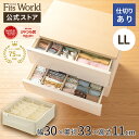 フィッツファブリック せいとんボックス LL (仕切り18マス)fits 収納 収納ケース 収納ボックス 衣装ケース 天馬