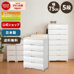 https://thumbnail.image.rakuten.co.jp/@0_mall/tenmafitsworld/cabinet/fitsplus/4904746055880_r3.jpg