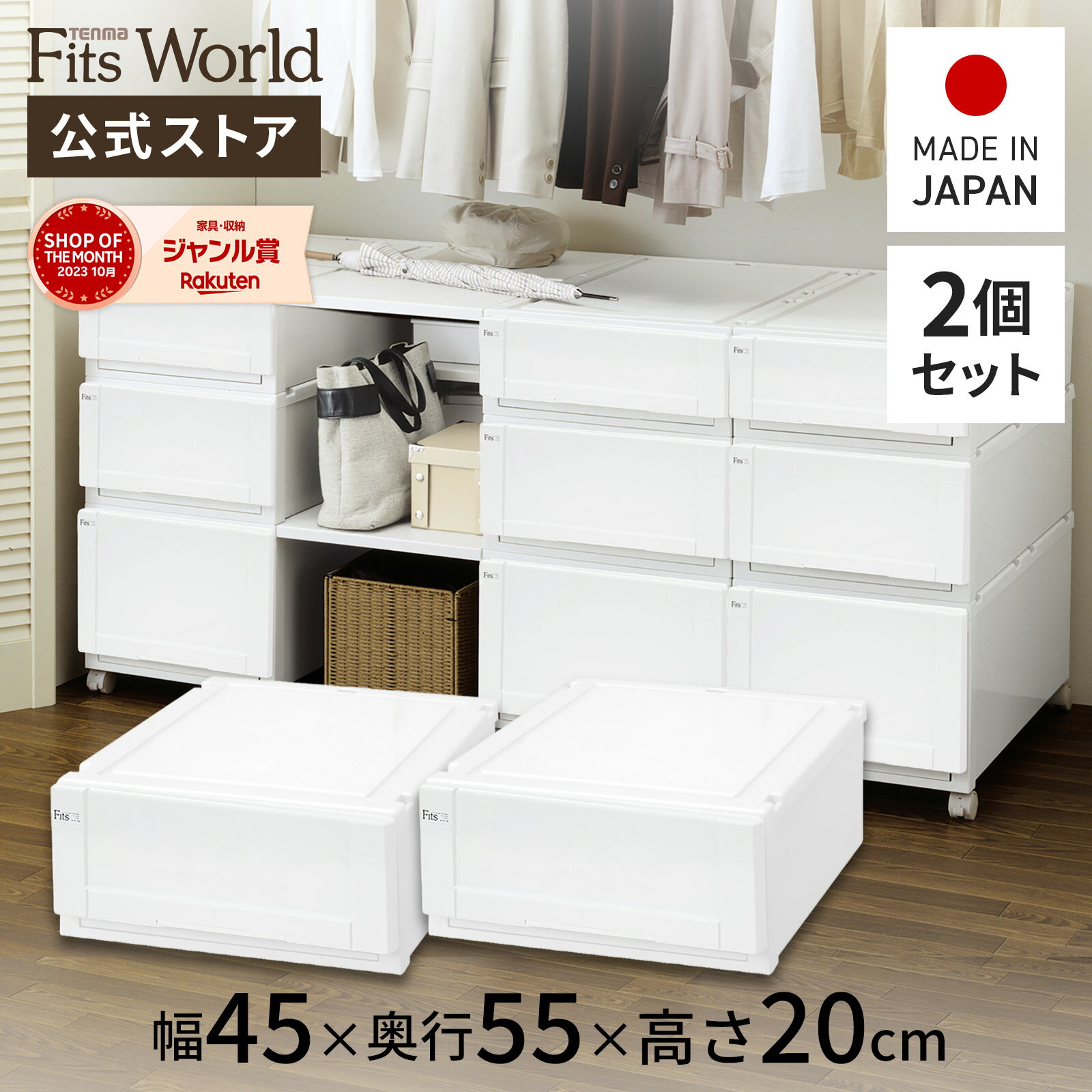 フィッツユニットケース 4520 2個セットホワイトフィッツ ユニット 収納 ケース 奥行55 幅45 fits プラスチック 天馬 公式 公式店 日本製