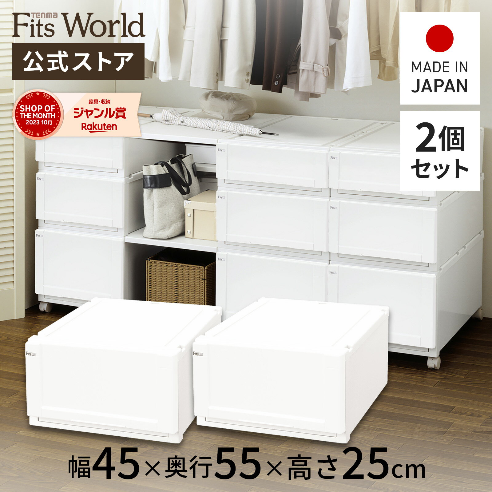 フィッツユニットケース 4525 2個セットホワイトフィッツ ユニット 収納 ケース 奥行55 幅45 fits プラスチック 天馬 公式 公式店 日本製